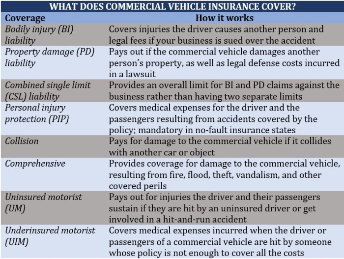 12 types of business insurance policies you should consider | Insurance ...