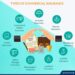 What Is Commercial Coverage at Saul Carroll blog